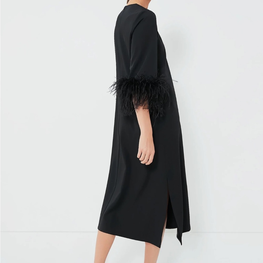 Black Feather Jamie Dress
TUCKERNUCK - Picture 4 of 11